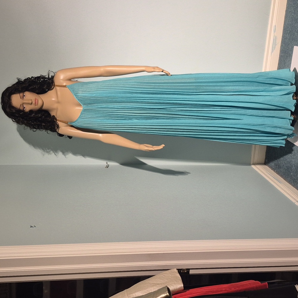 BCBGMAXAZRIA Pleated Maxi Dress NWT Size L - Picture 1 of 17